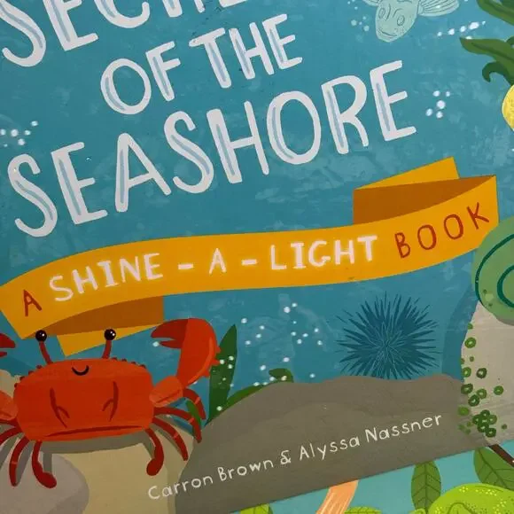 Usborne Shine a Light Book Bundle - Picture 4 of 5